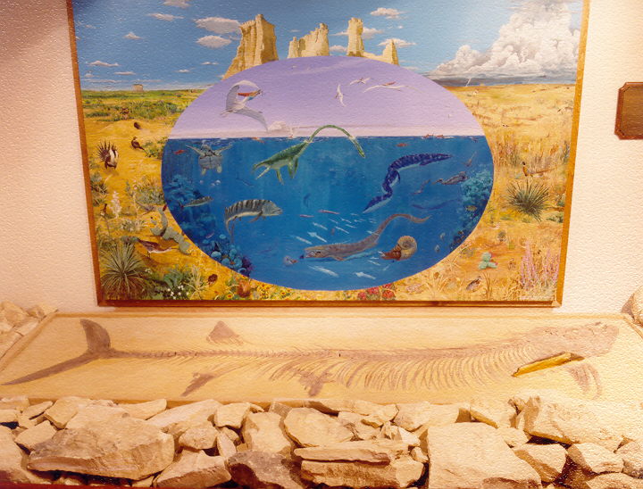From ancient fossils to modern art Oakley Kansas has what explorers want 